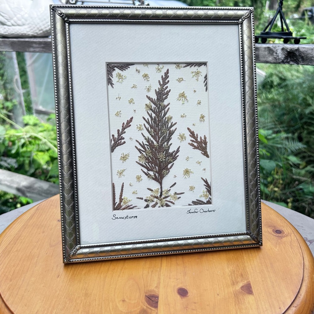 Snowstorm Pressed Flower Seaweed Art Framed Jennifer Charters Large 8x10 Art